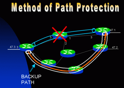 MPLS path protection visualizer